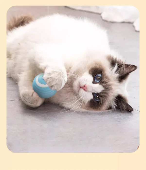 Electric Cat Ball Toy Self-rolling Smart Cat Toys - Image 6